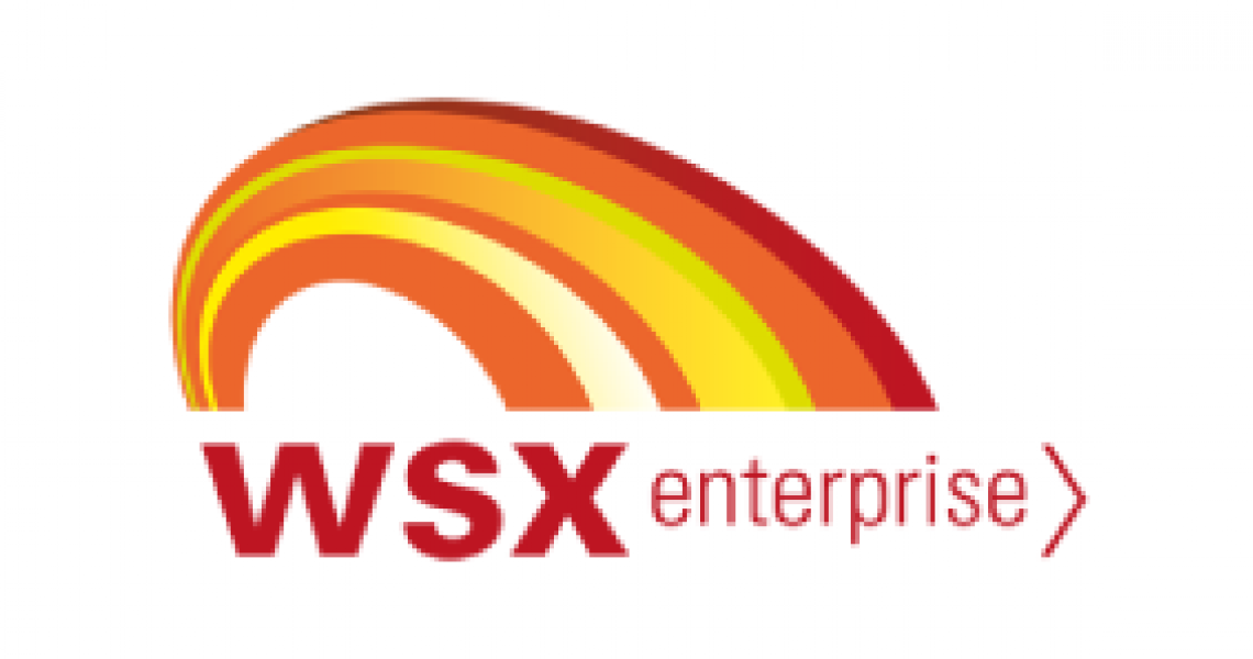  WSX Enterprise logo