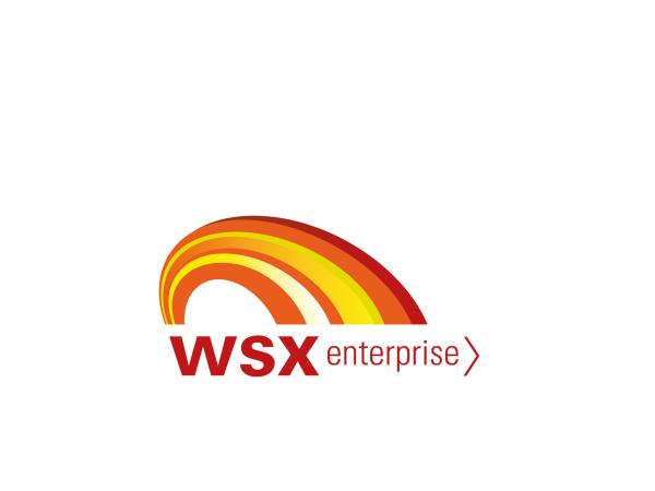WSX Enterprise logo